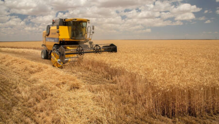 Tarımda kayıt dışılık lisanslı depoculukla önlenecek