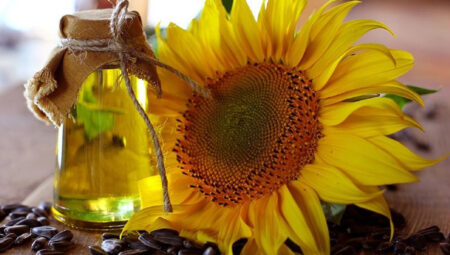 Ayçiçeği tohumu ithalatında vergiler düşürüldü